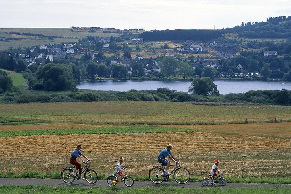 City Ferienhaus Vulkaneifel Villa Daun Kültér fotó